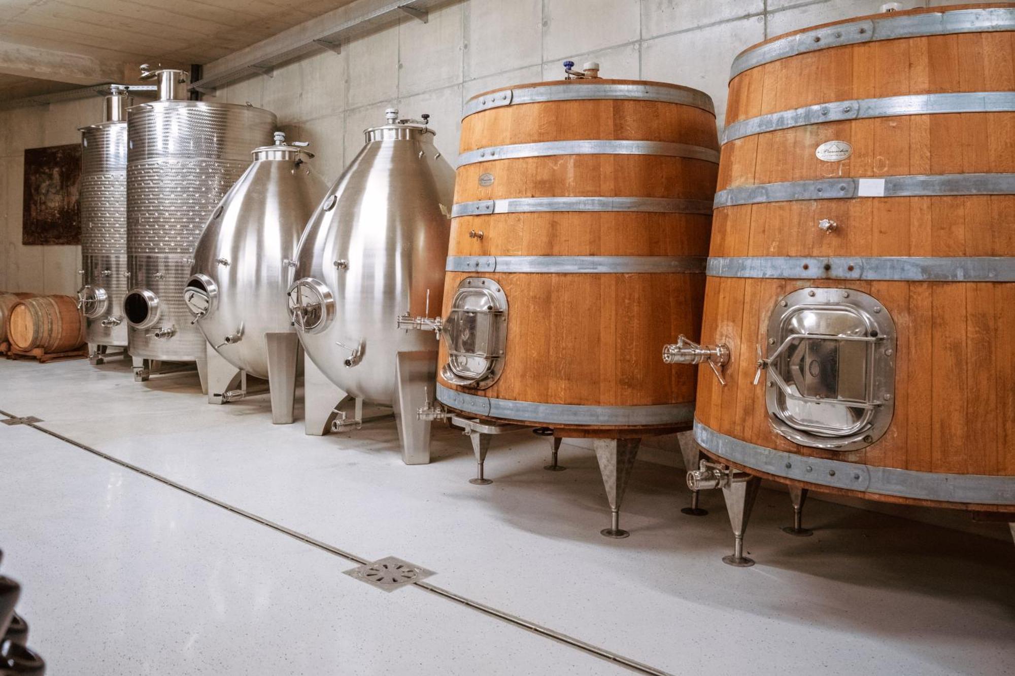 Posestvo Scurek Wine Bed & Breakfast Dobrovo Dış mekan fotoğraf