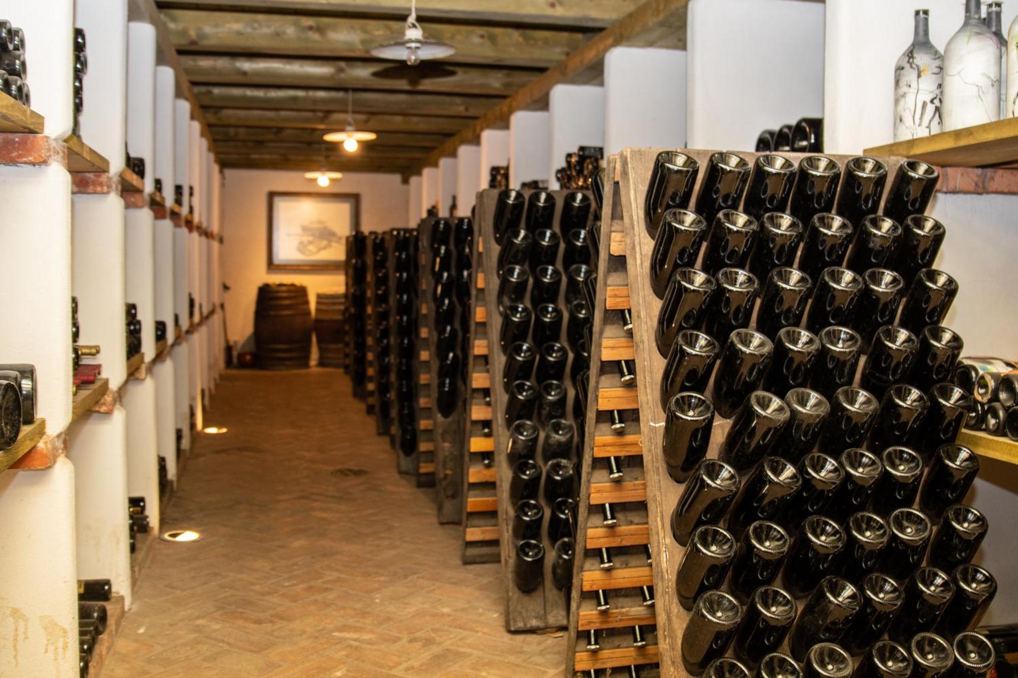 Posestvo Scurek Wine Bed & Breakfast Dobrovo Dış mekan fotoğraf
