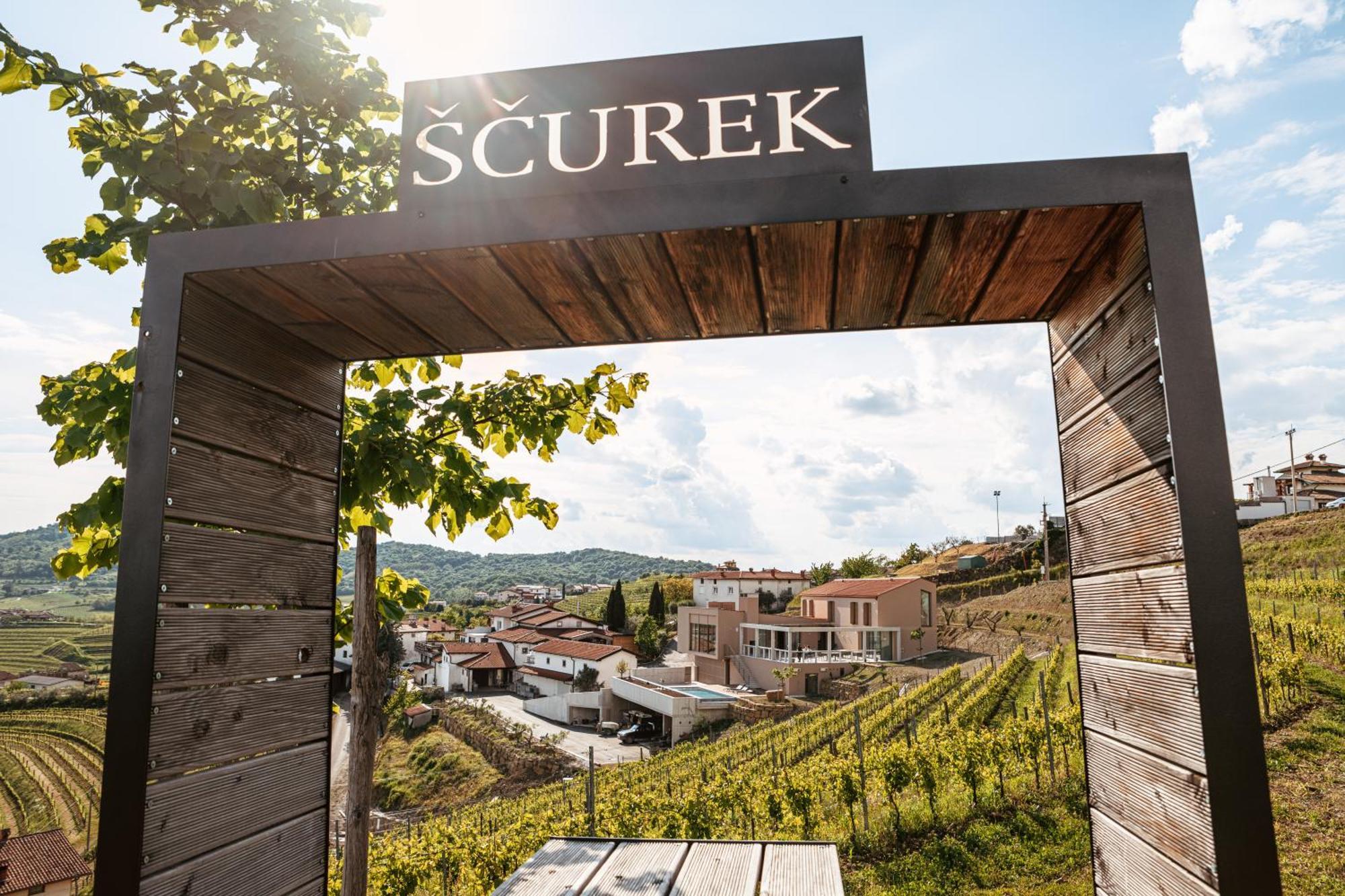 Posestvo Scurek Wine Bed & Breakfast Dobrovo Dış mekan fotoğraf