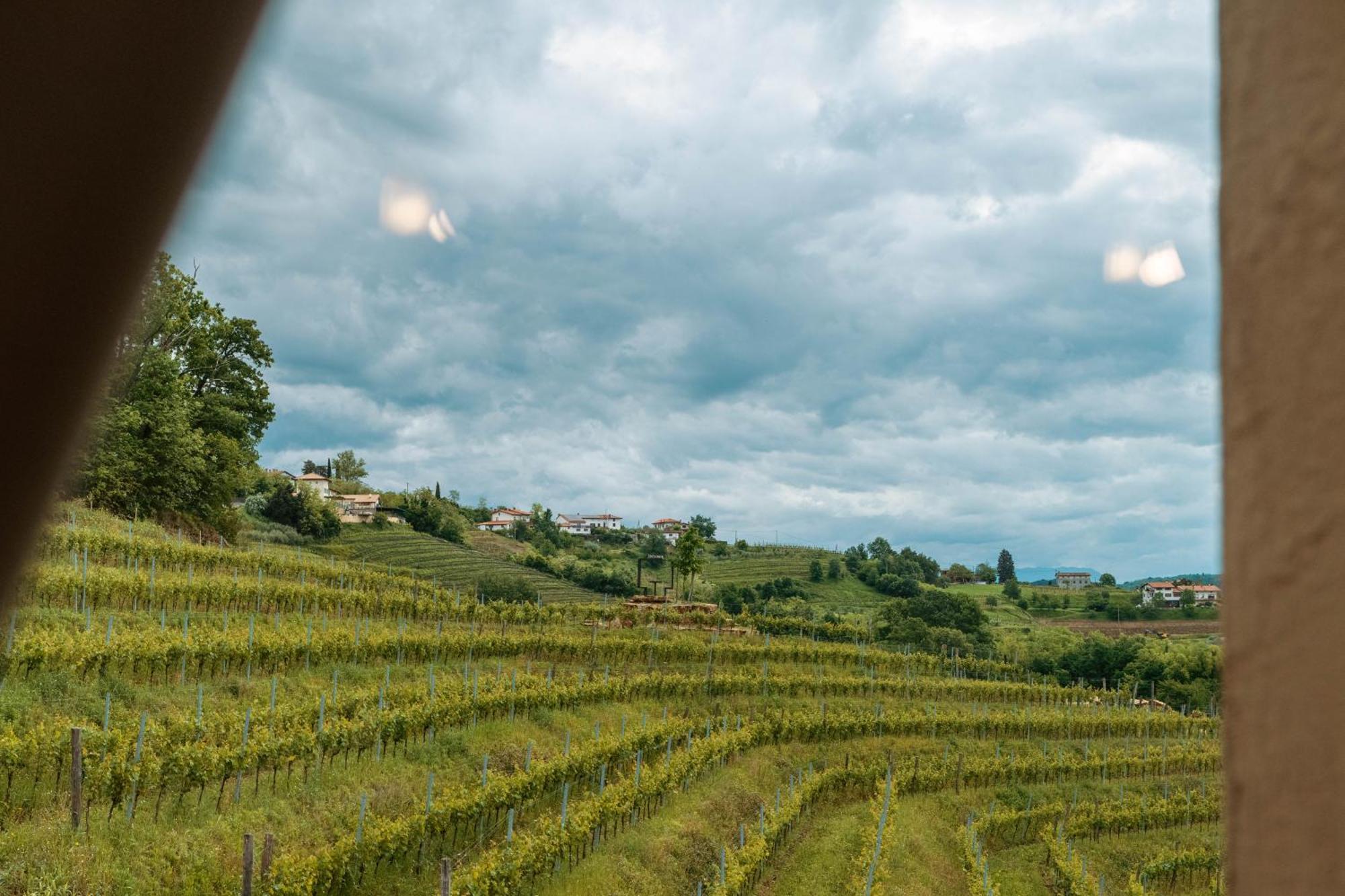 Posestvo Scurek Wine Bed & Breakfast Dobrovo Dış mekan fotoğraf