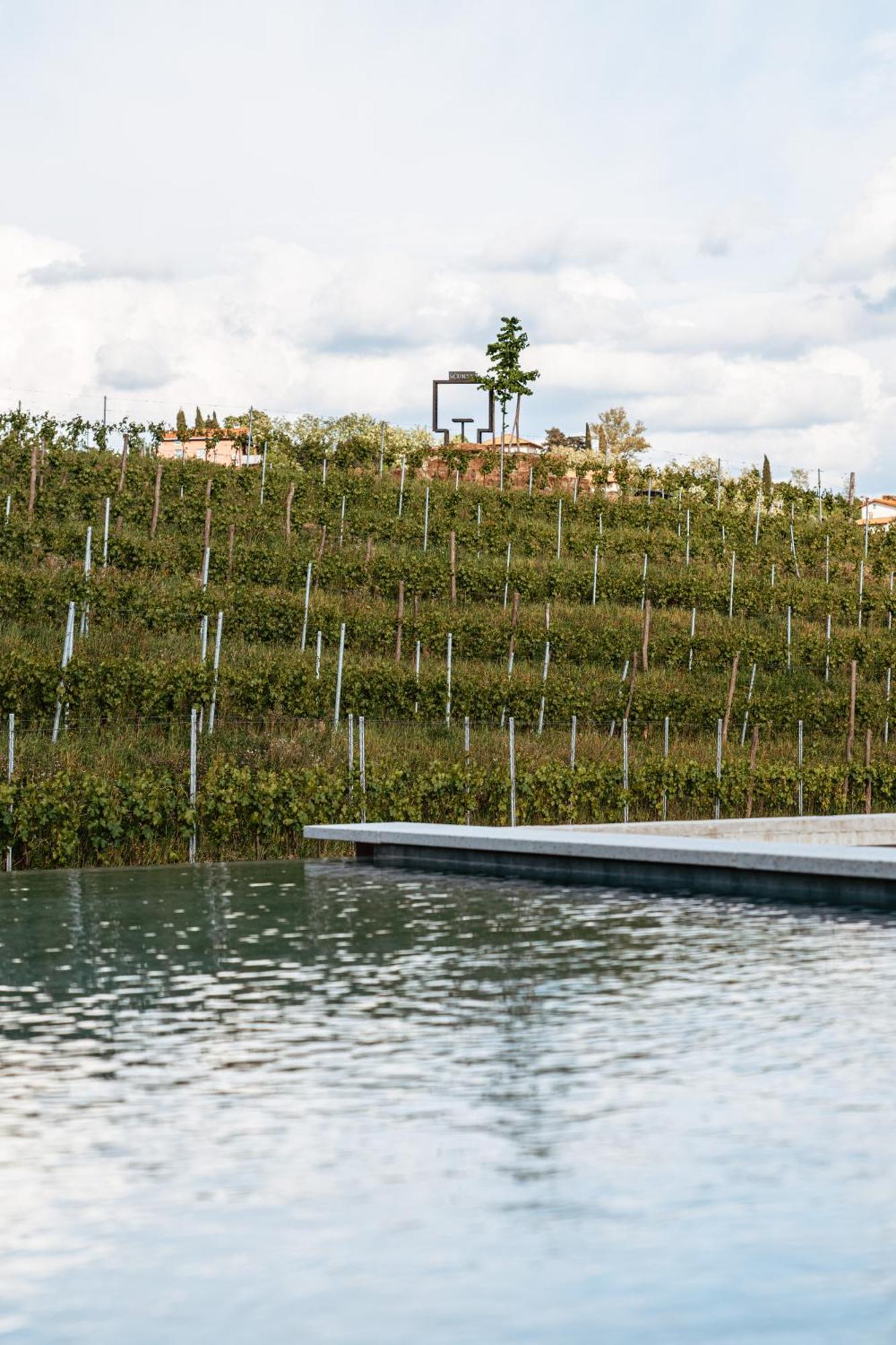 Posestvo Scurek Wine Bed & Breakfast Dobrovo Dış mekan fotoğraf